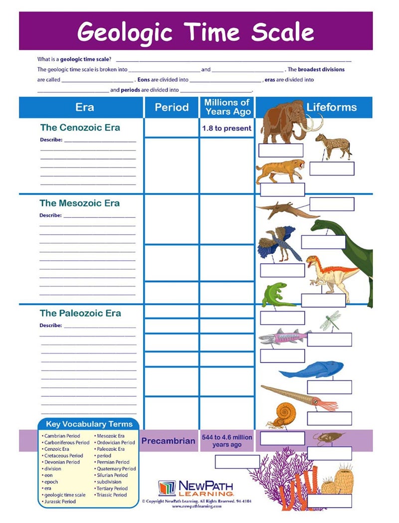 New Path Learning NewPath Learning-947122 Geologic Time Scale Visual Learning Guides, Set/5-4-Panel, 11" x 17" Laminated Guides, Full-Color Graphic Overview, Write-On/Wipe-Off Activities - Image 2